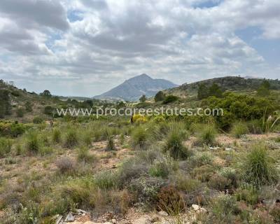 Land - Resale - Hondon de las Nieves - Hondon de las Nieves