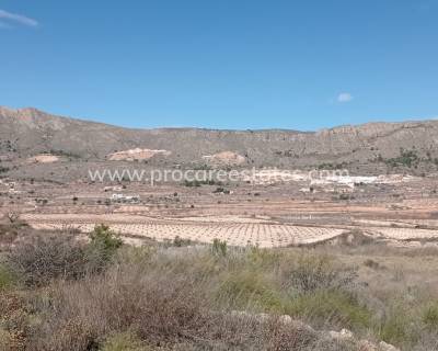 Land - Resale - La Romana - HV-55316