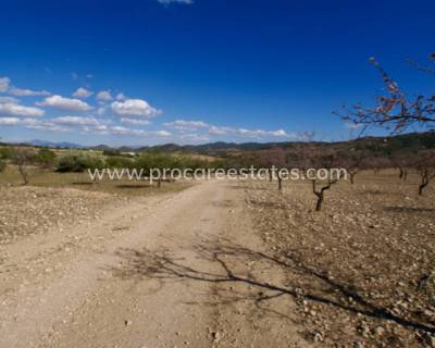 Land - Resale - Murcia - SL-23508
