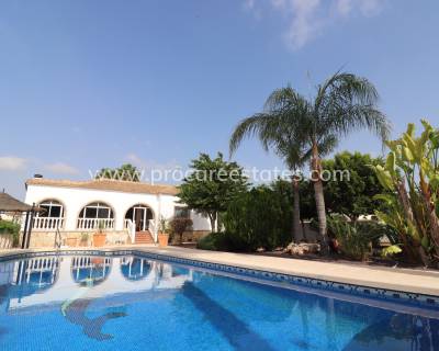 Landhaus - Verkauf - Catral - PCE-1353