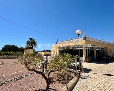 Landhuis - Verkoop - Crevillente - PCE-1412