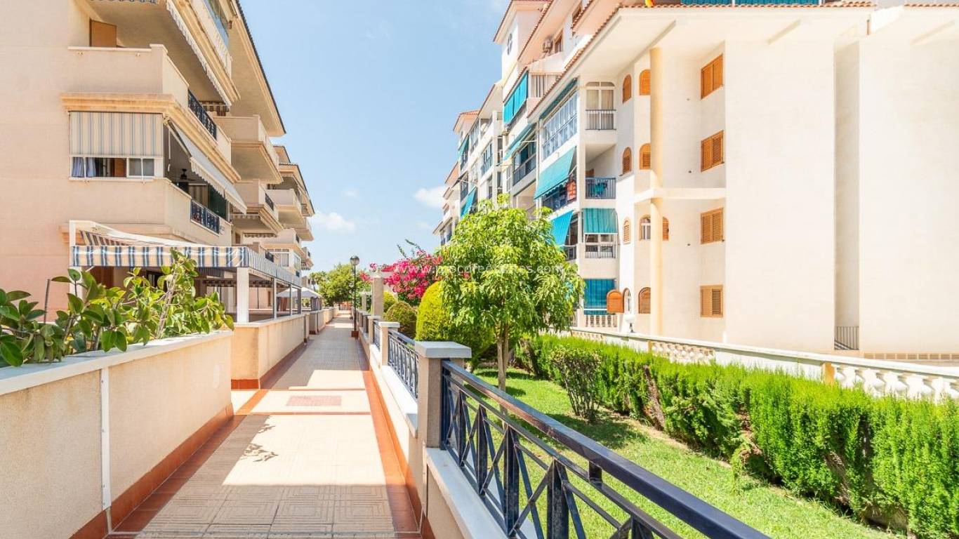 Lange termijn verhuur - Appartement - Torrevieja - La Mata