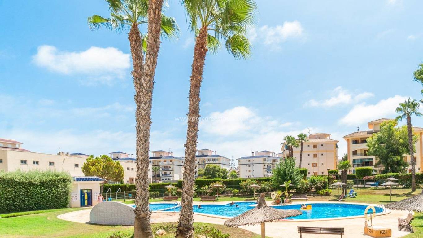 Location longue durée - Appartement - Torrevieja - La Mata