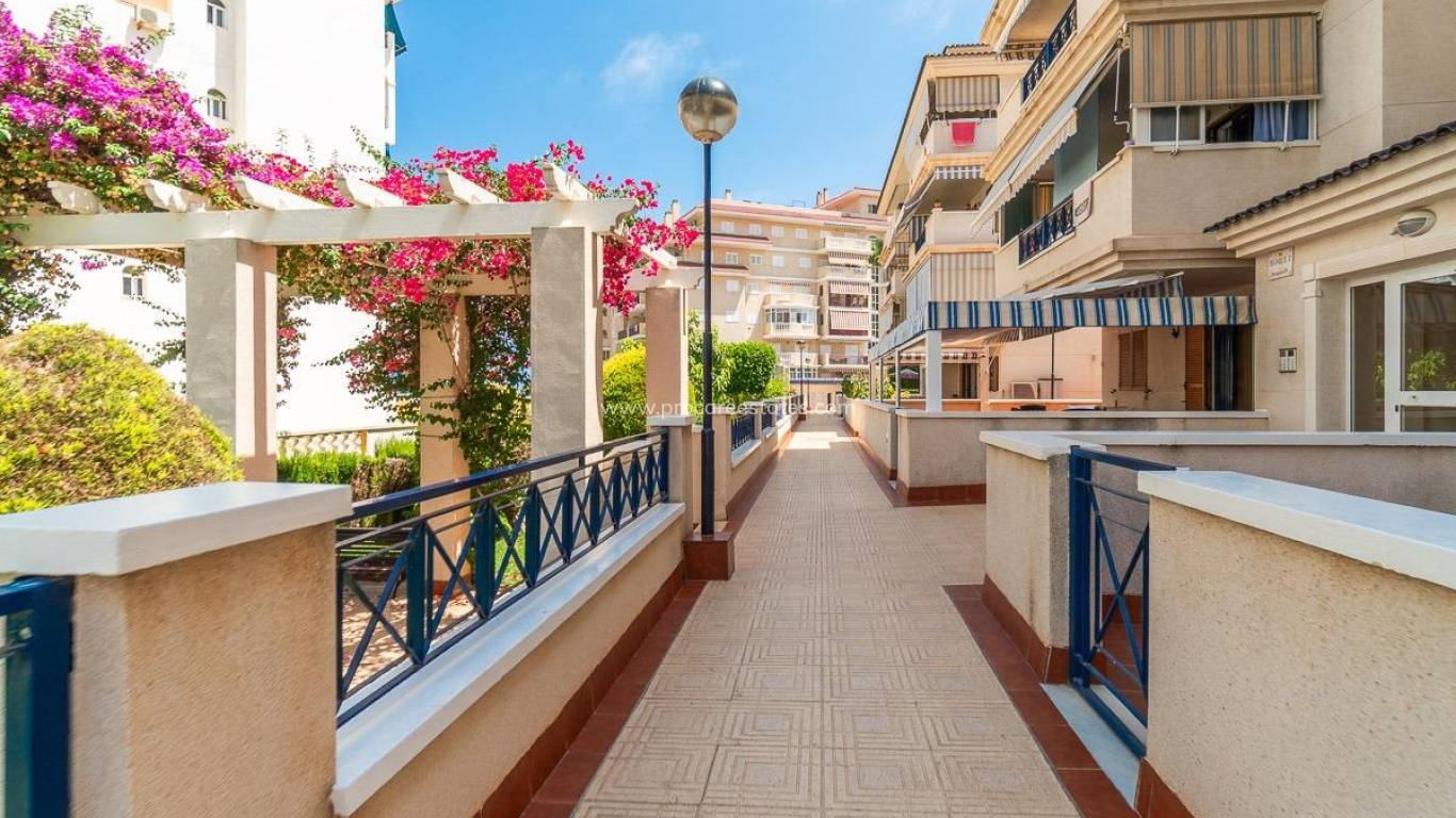 Long time Rental - Apartment - Torrevieja - La Mata