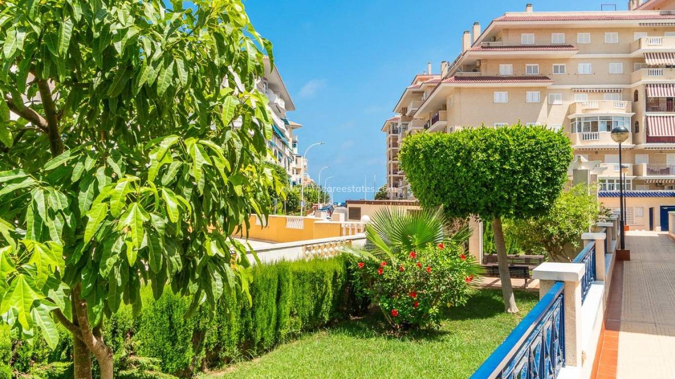Long time Rental - Apartment - Torrevieja - La Mata