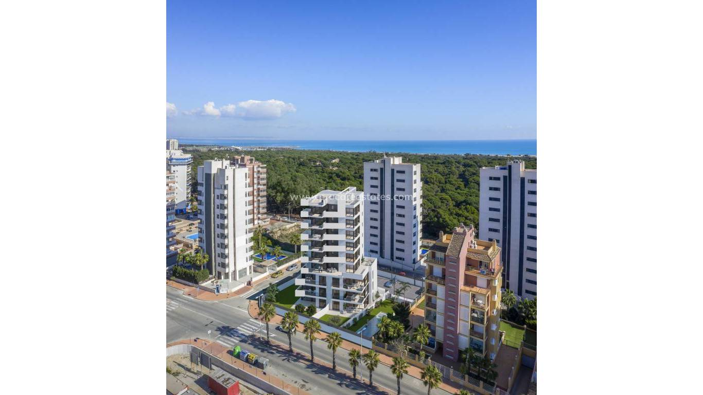 Neubau - Penthouse - Guardamar del Segura - Puerto Deportivo