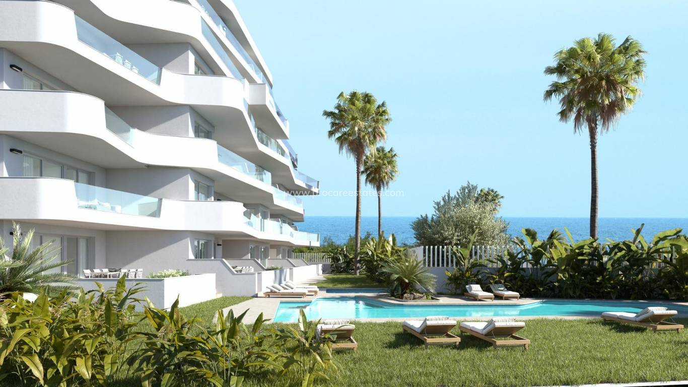 Neubau - Penthouse - Pilar de la Horadada - Campoamor