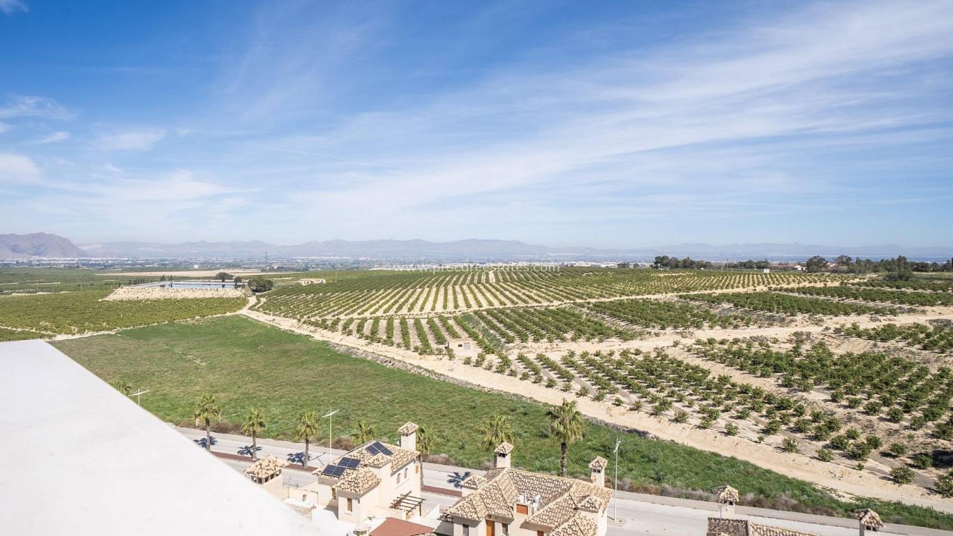 Neubau - Villa - Algorfa - La Finca golf