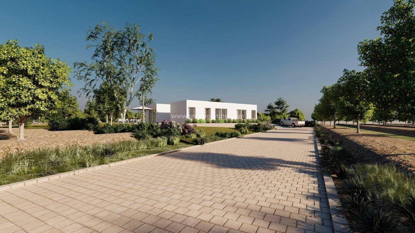 Neubau - Villa - Benejuzar - alta
