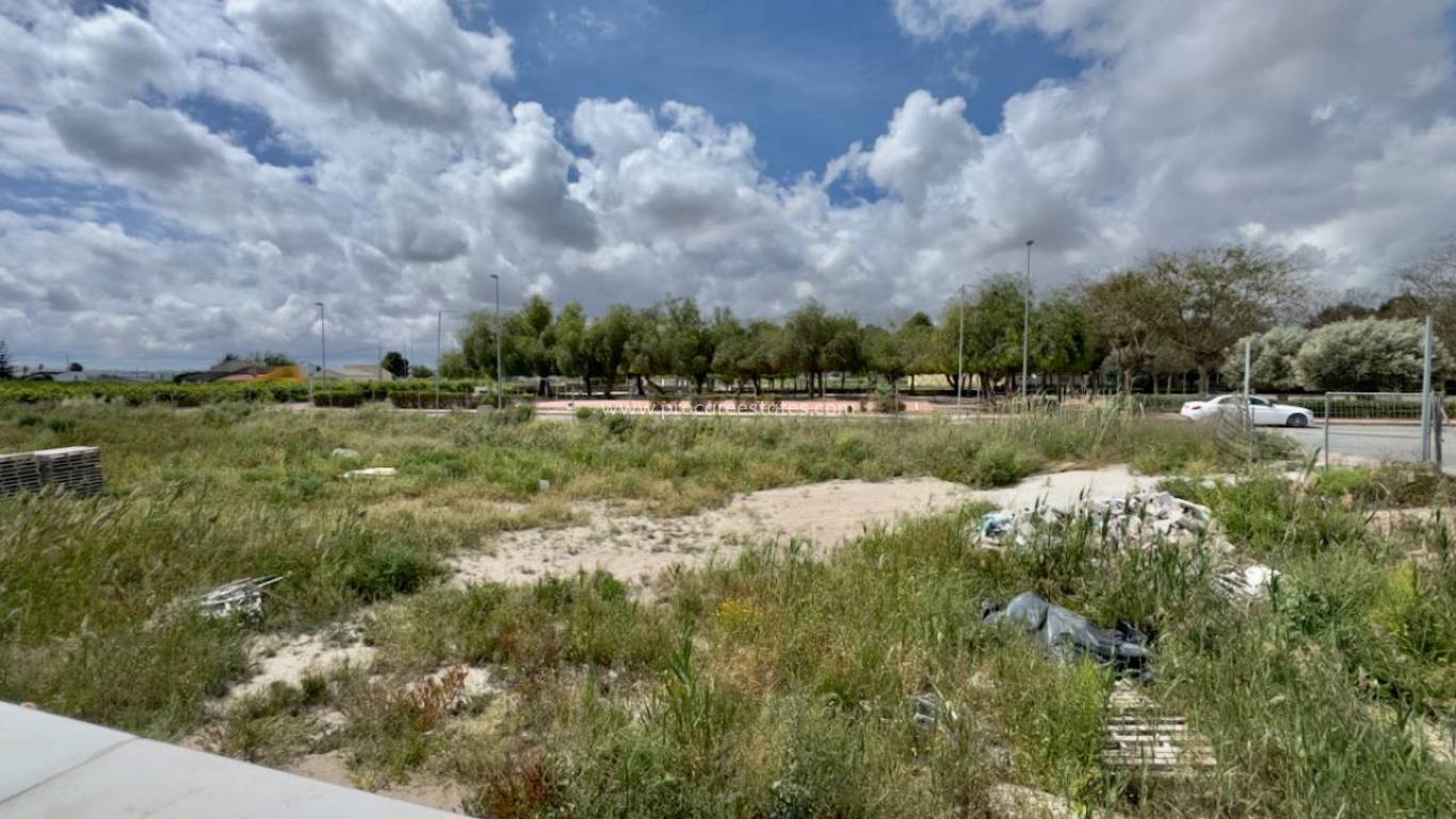 Neubau - Villa - Daya Nueva