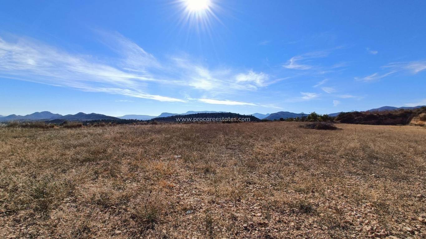 Neubau - Villa - Novelda