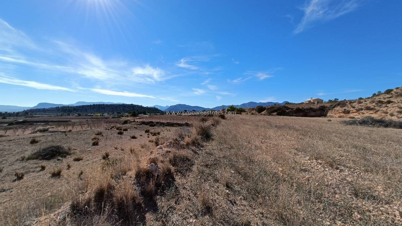 Neubau - Villa - Novelda