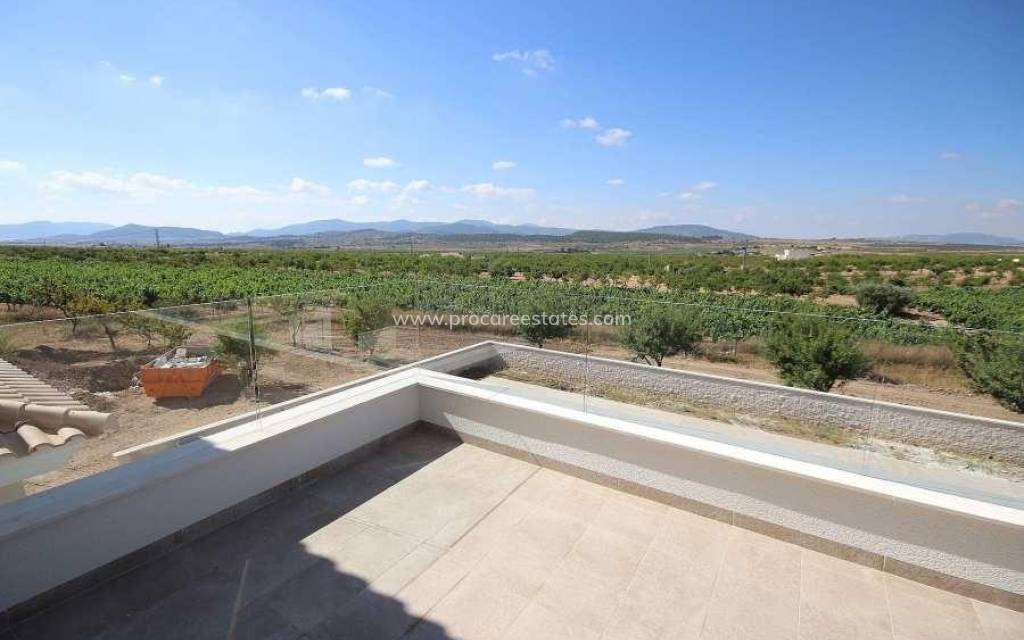 Neubau - Villa - Pinoso - Camino Del Prado