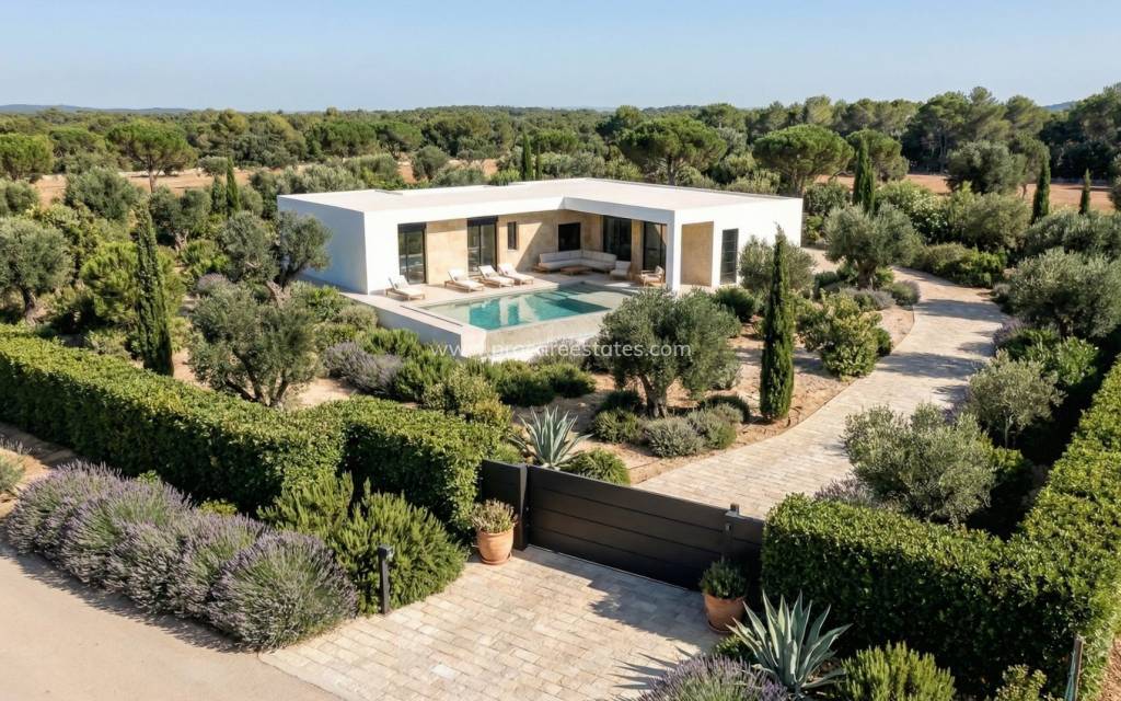 Neubau - Villa - Pinoso - Casas Pastor