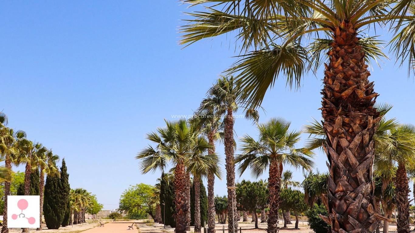 Neubau - Villa - San Fulgencio - La Escuera