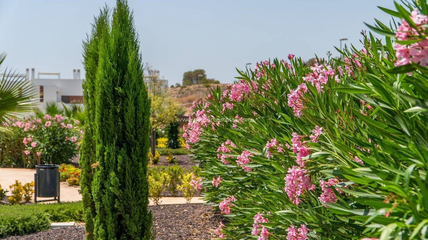 Neubau - Wohnung - Orihuela - Vistabella Golf