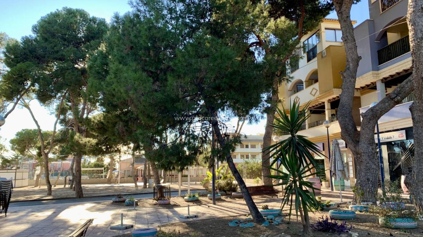 Neubau - Wohnung - San Javier - Roda Golf