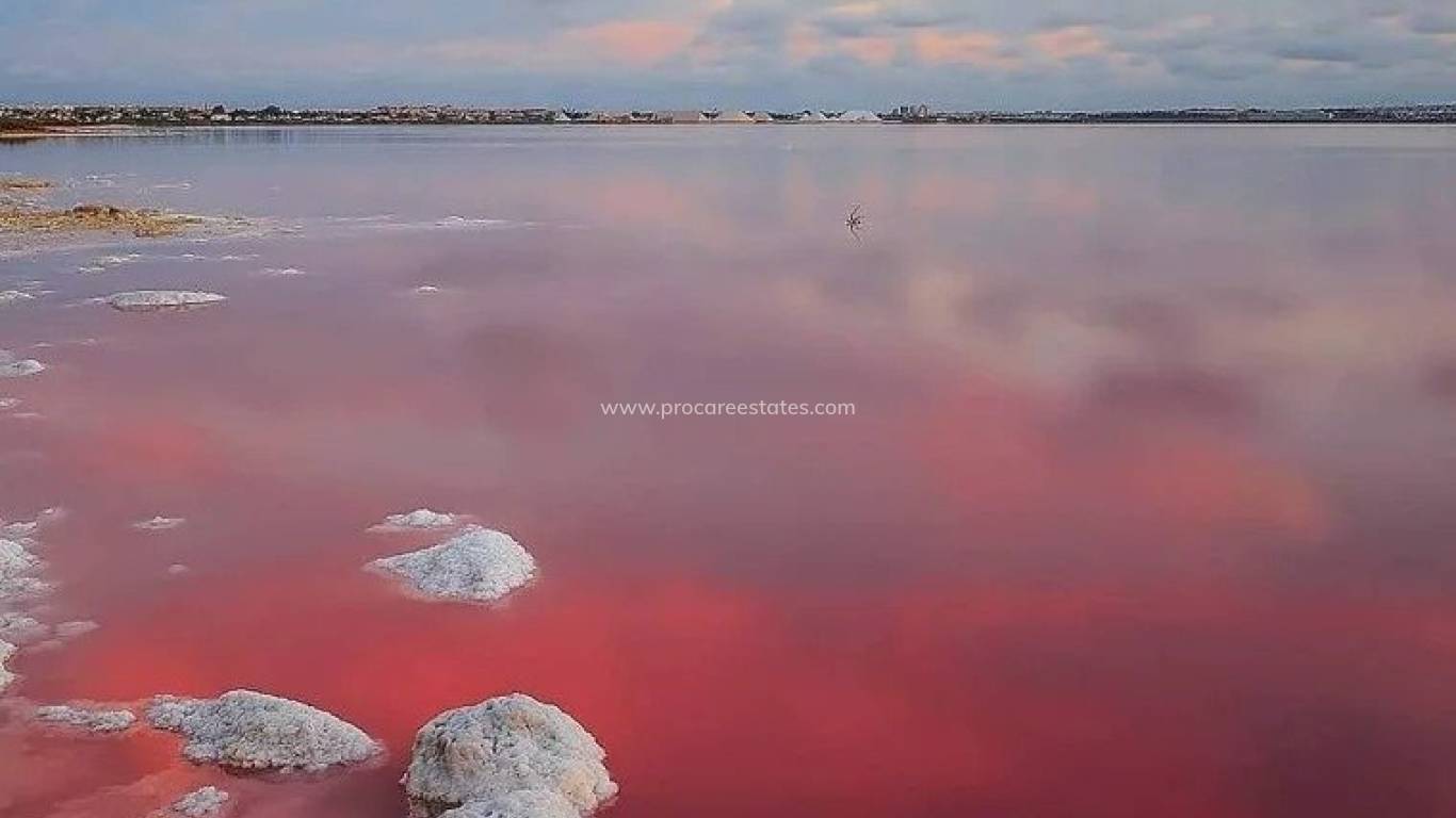 Neubau - Wohnung - Torrevieja - Lago Jardín II