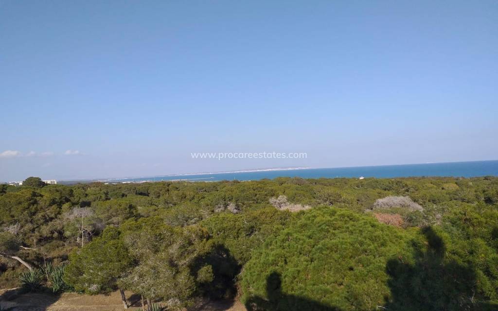 New Build - Apartment - Guardamar del Segura - Guardamar Center