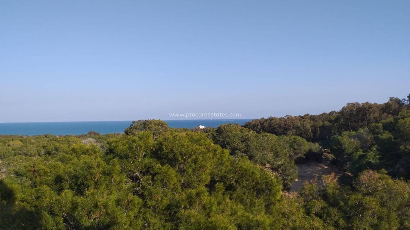 New Build - Apartment - Guardamar del Segura - Guardamar Center