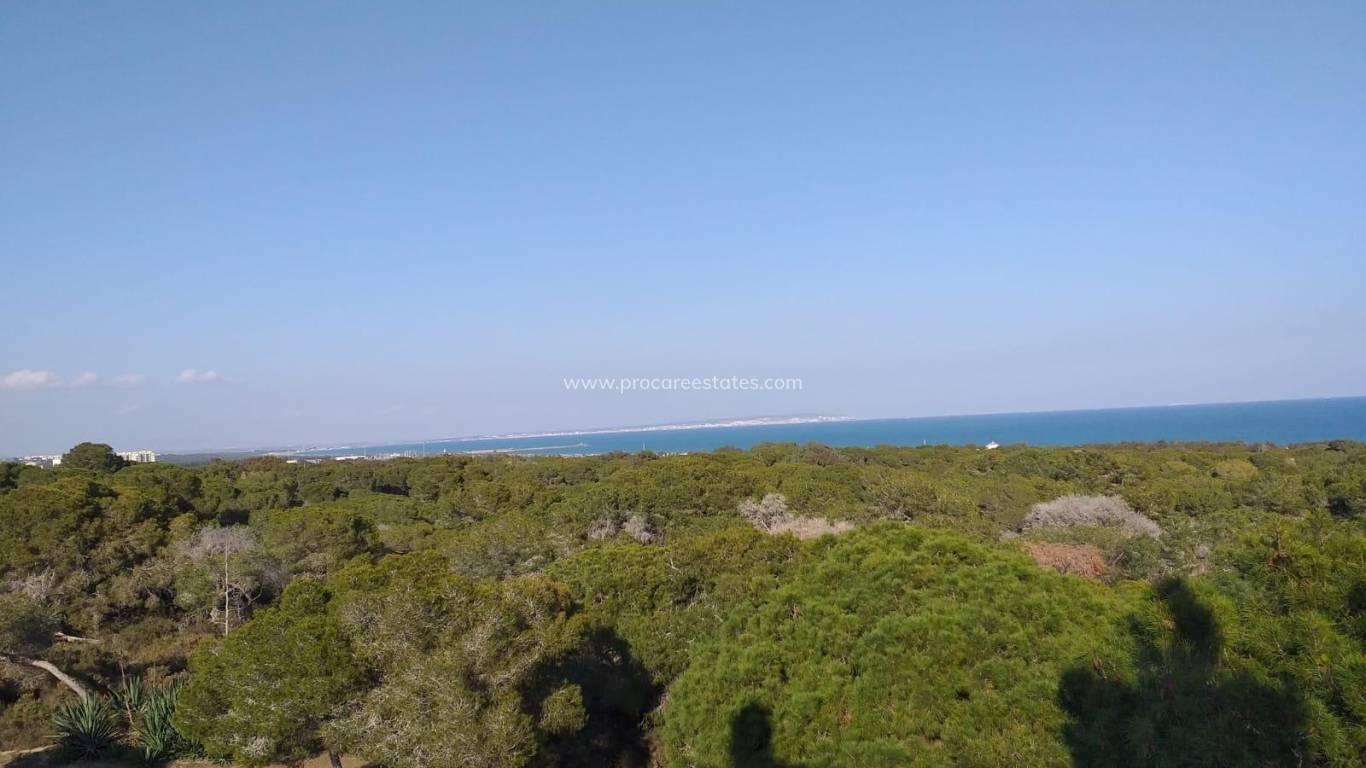 New Build - Apartment - Guardamar del Segura - Guardamar Center