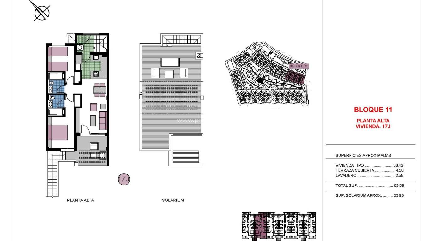 New Build - Apartment - Pilar de la Horadada - Campoamor