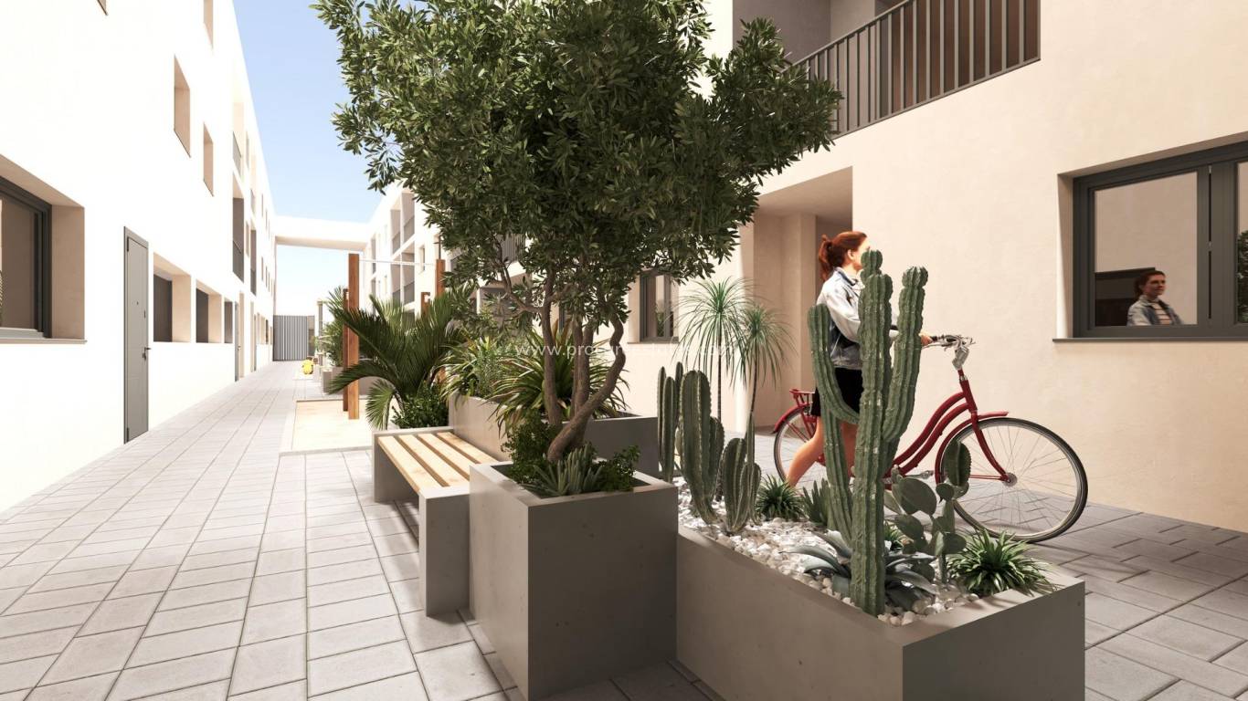 New Build - Apartment - San Miguel de Salinas - san miguel