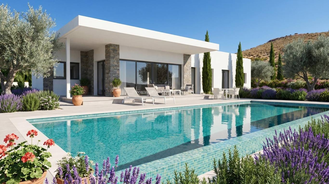New Build - Villa - Pinoso - Casas Pastor