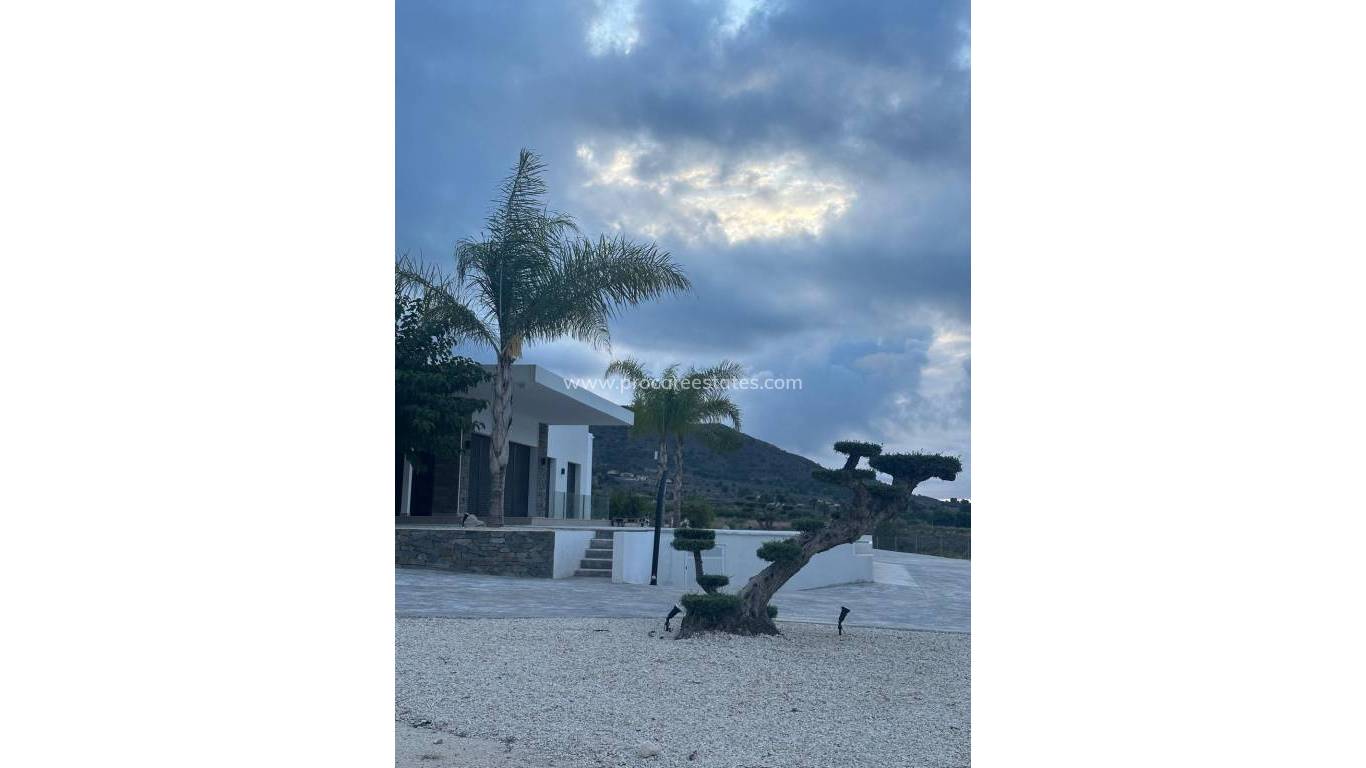 New Build - Villa - Pinoso - Casas Pastor