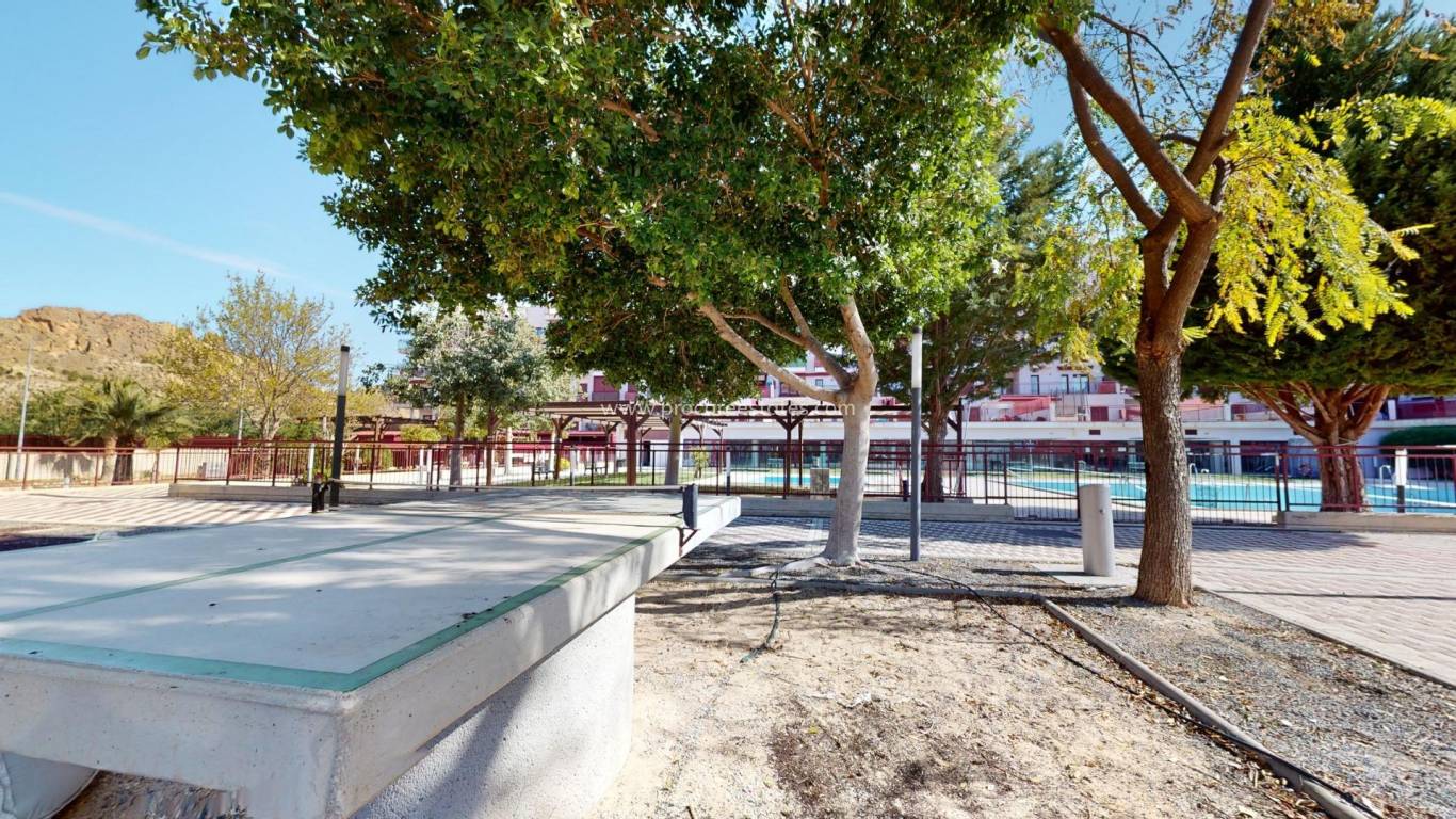 Nieuwbouw - Appartement - Archena - Villanueva del Rio Segura