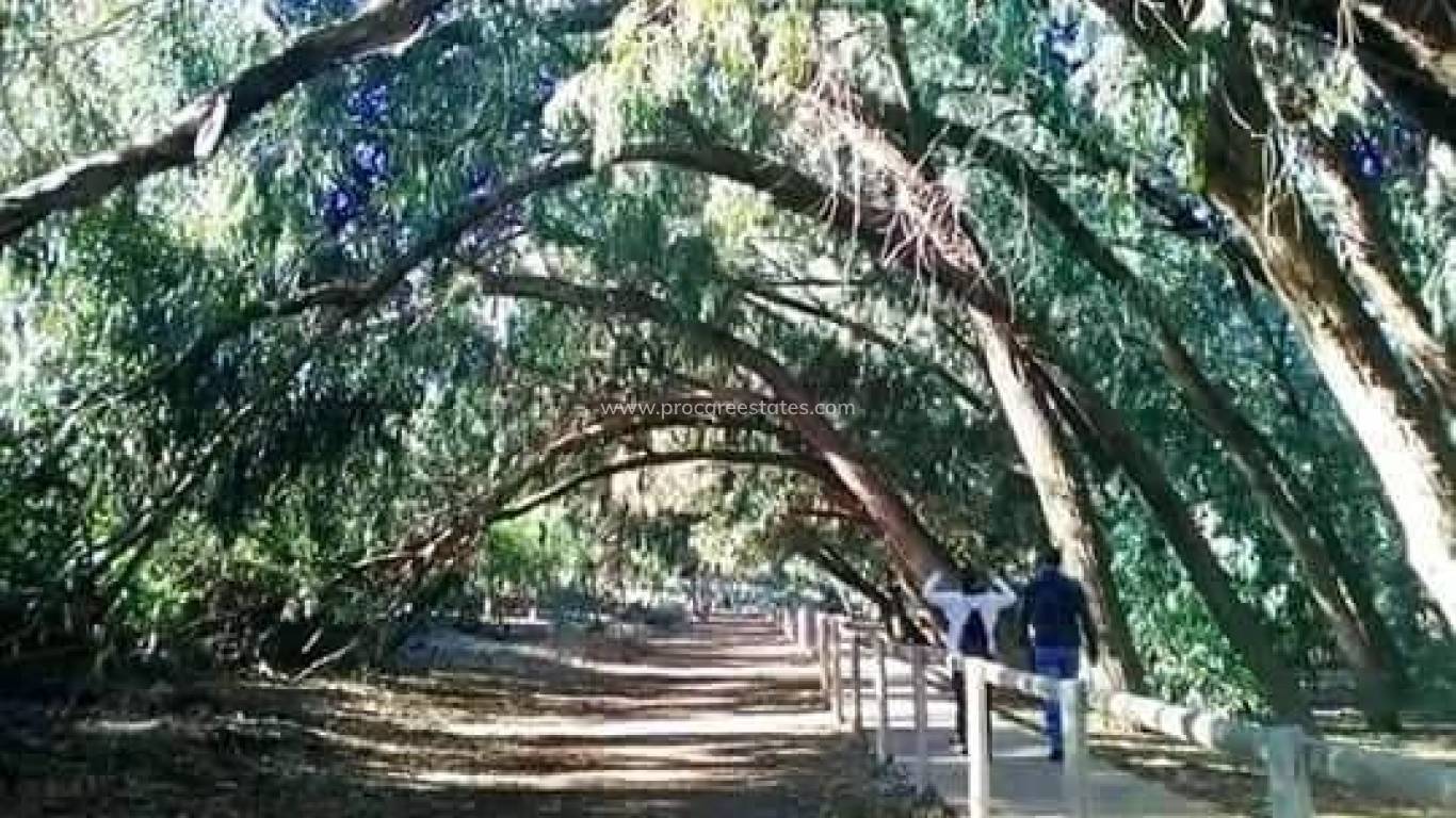 Nieuwbouw - Appartement - Torrevieja - Altos del Sol