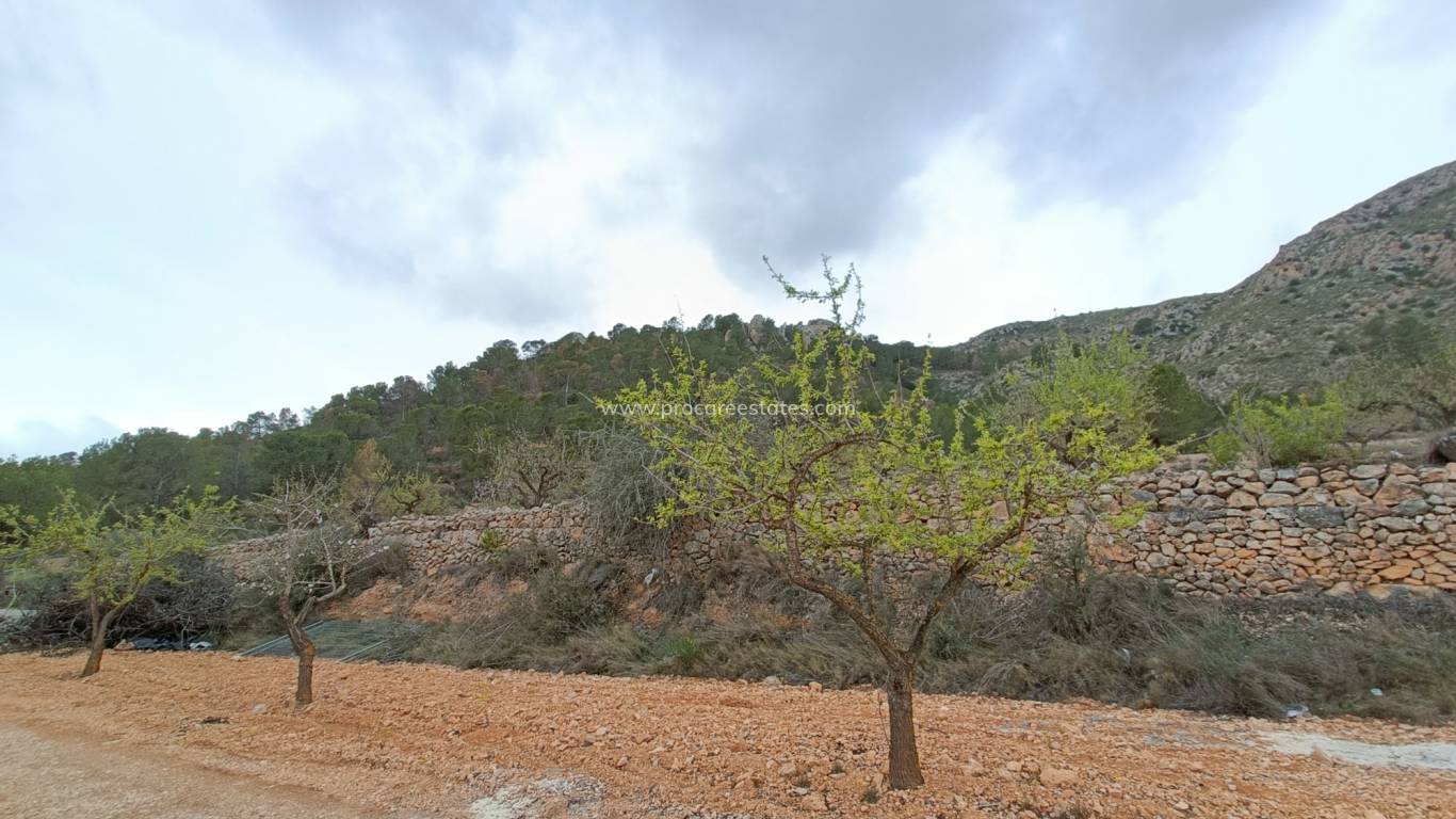 Nieuwbouw - Villa - La Romana