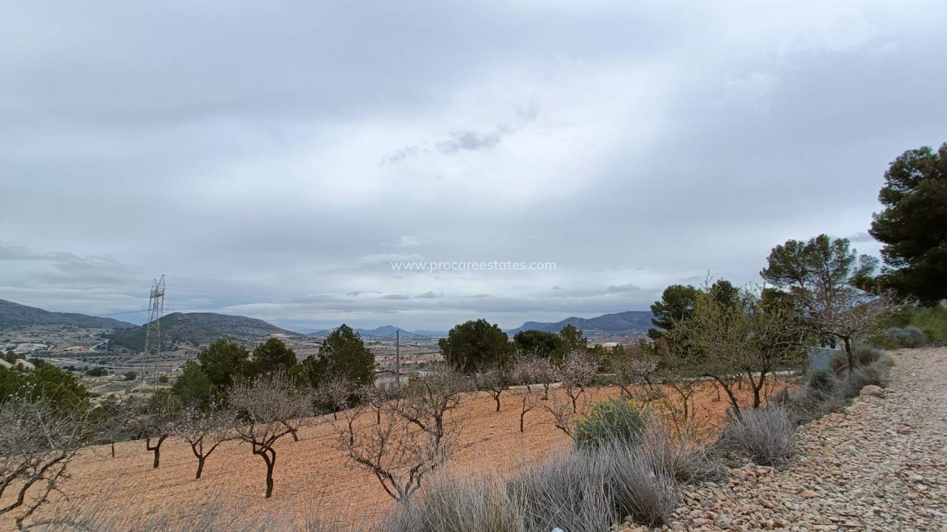 Nieuwbouw - Villa - La Romana