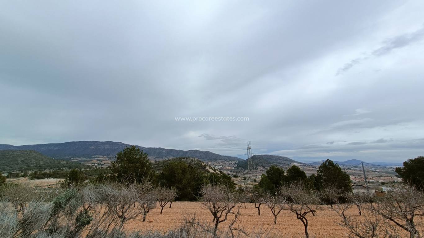 Nieuwbouw - Villa - La Romana