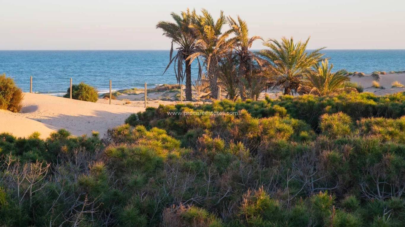 Nouvelle construction - Appartement - Guardamar del Segura - Avda del Puerto