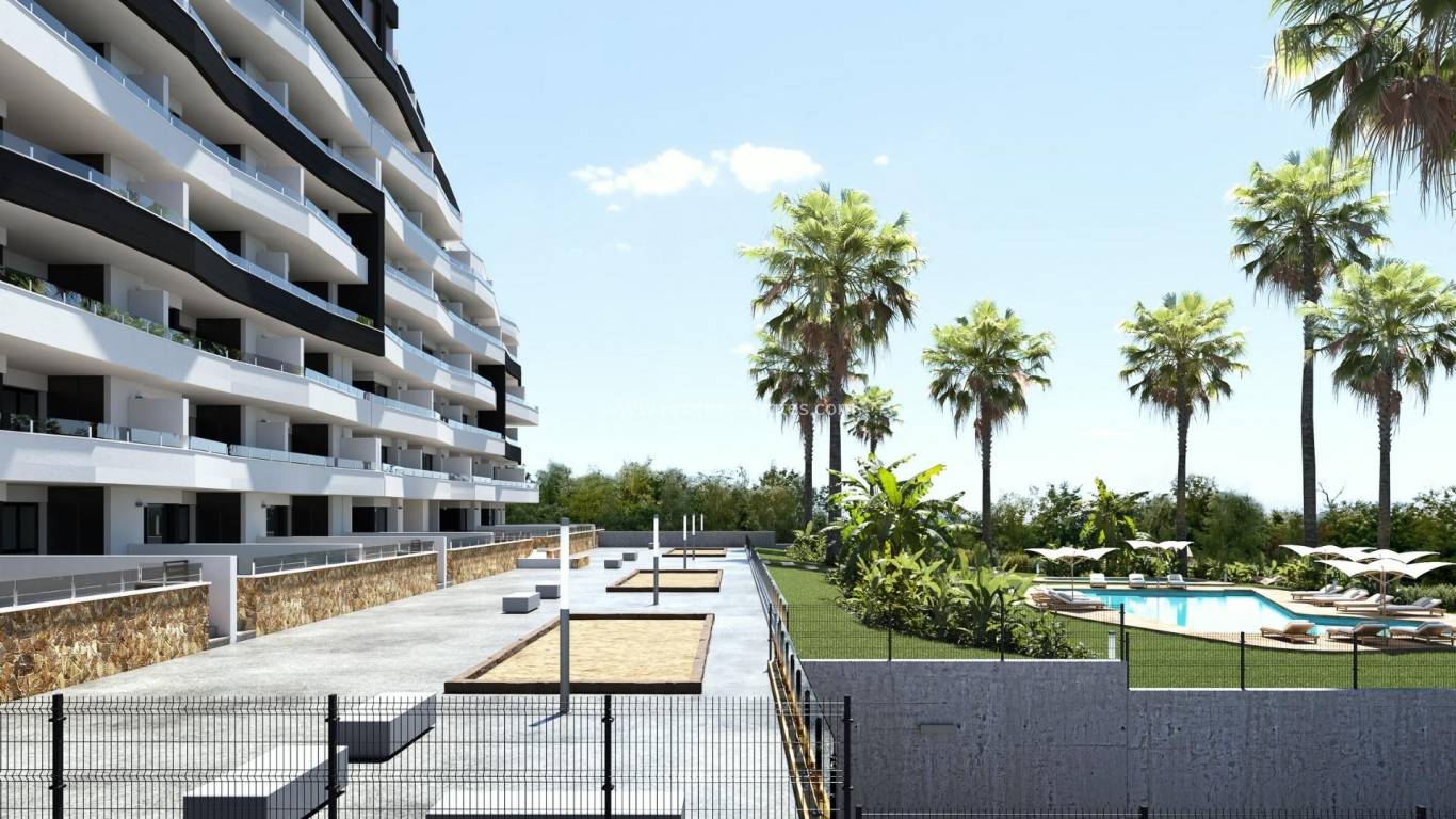 Nouvelle construction - Appartement - San Miguel de Salinas - san miguel