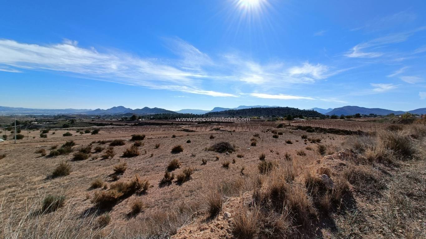 Nouvelle construction - Villa - Novelda