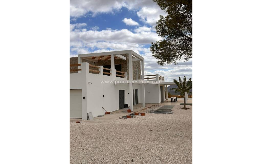 Nouvelle construction - Villa - Pinoso - Casas Pastor