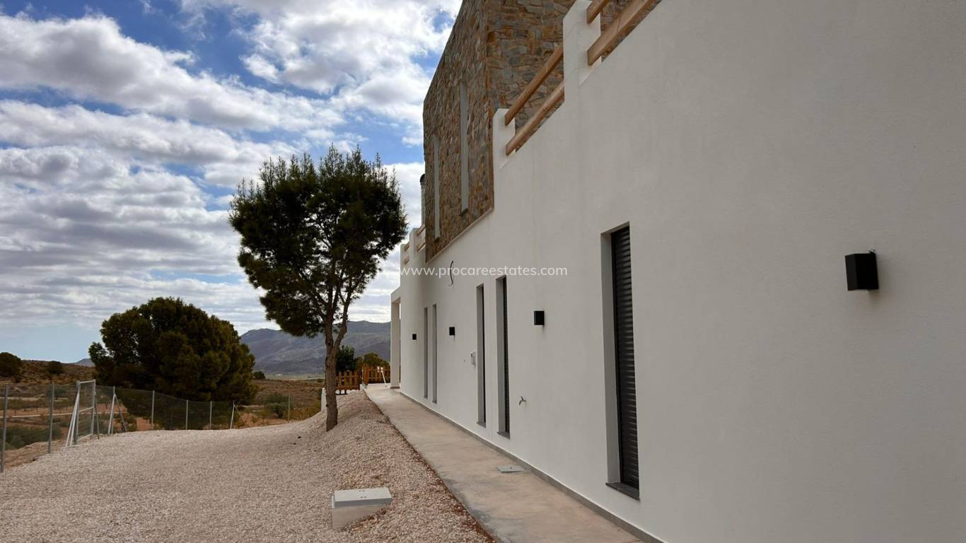 Nouvelle construction - Villa - Pinoso - Casas Pastor