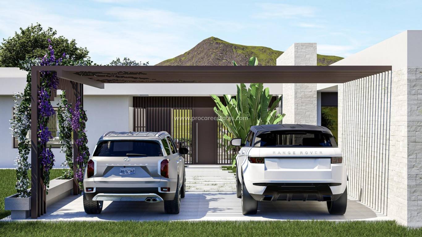 Nouvelle construction - Villa - Pinoso - Lel