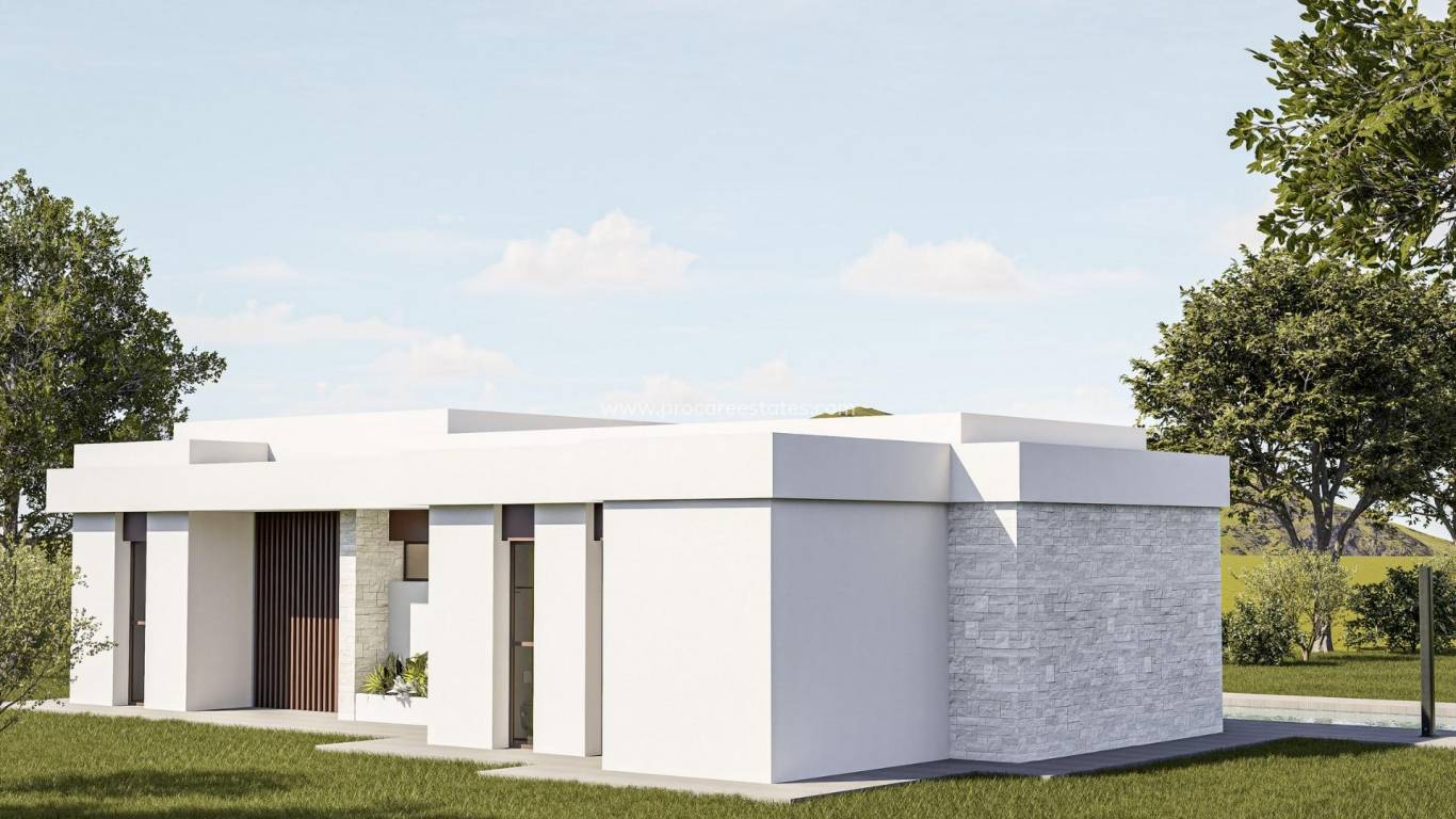 Nouvelle construction - Villa - Pinoso - Lel