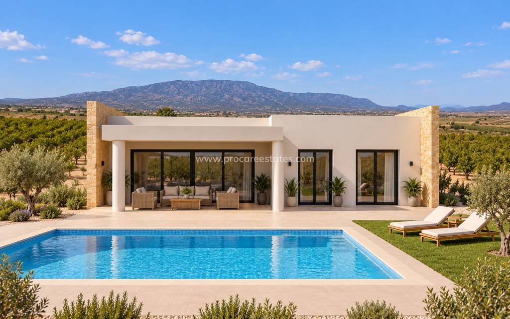 Nouvelle construction - Villa - Pinoso
