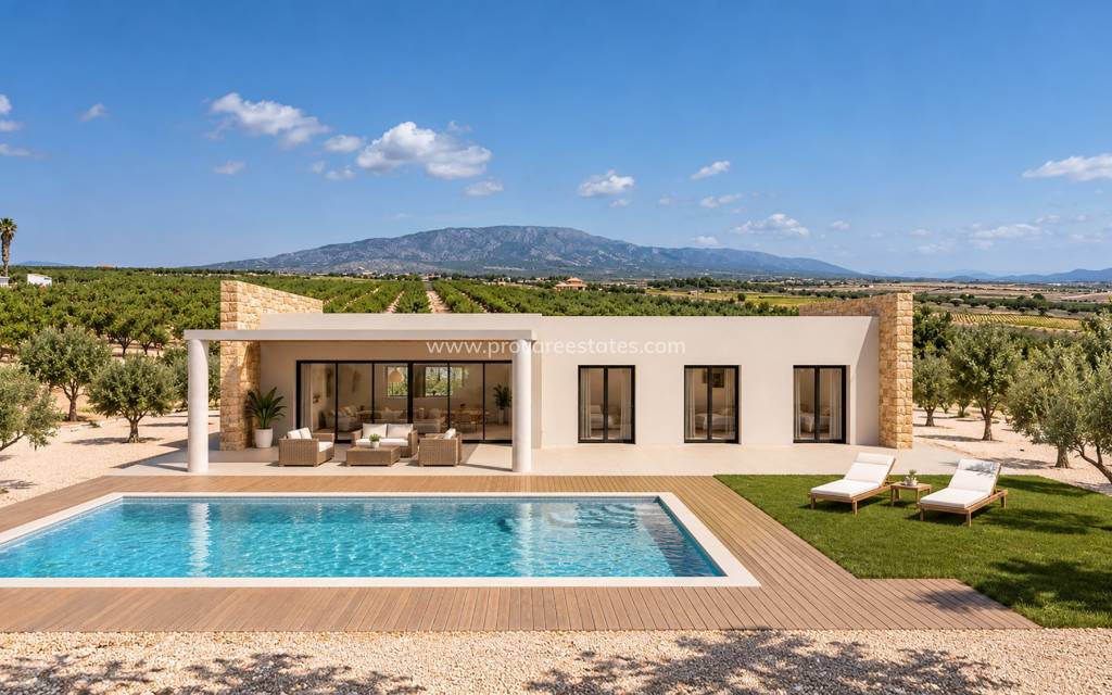 Nouvelle construction - Villa - Pinoso