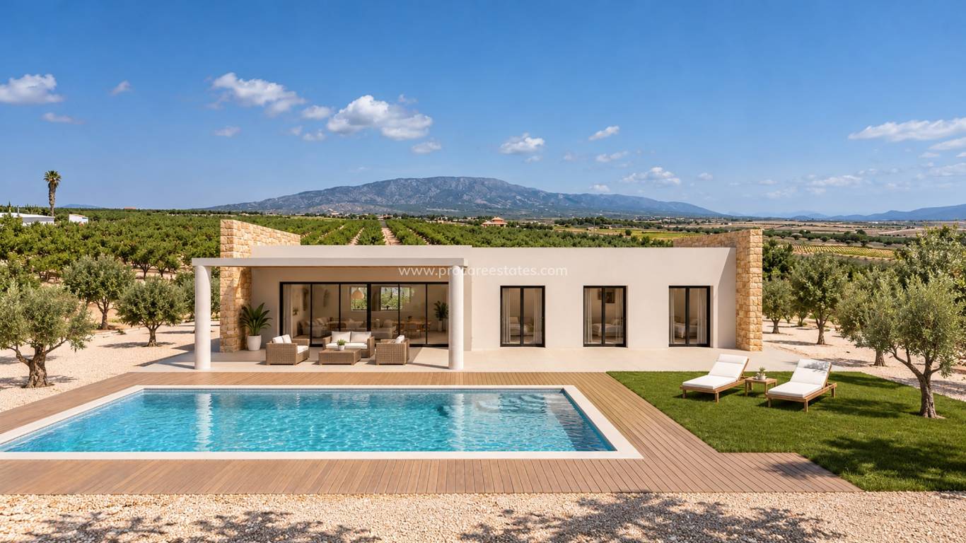 Nouvelle construction - Villa - Pinoso