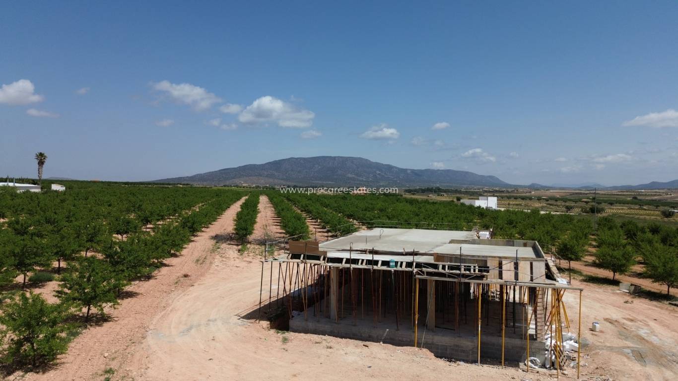Nouvelle construction - Villa - Pinoso
