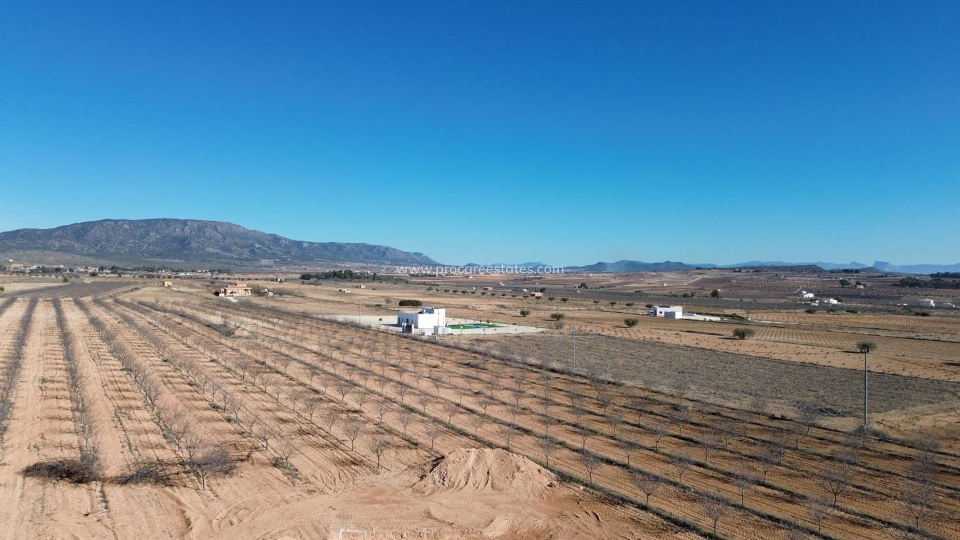 Nouvelle construction - Villa - Pinoso