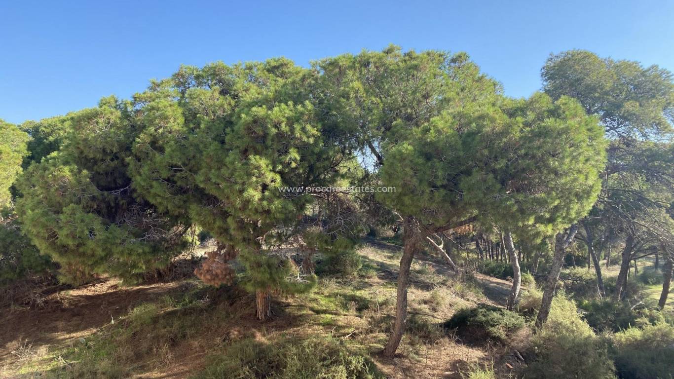 Nueva construcción  - Apartamento - Guardamar del Segura - Guardamar Centro