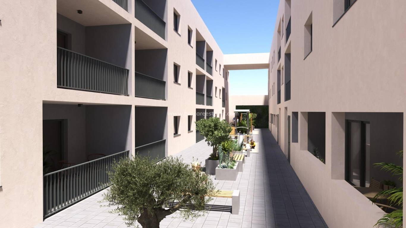 Nueva construcción  - Apartamento - San Miguel de Salinas - san miguel