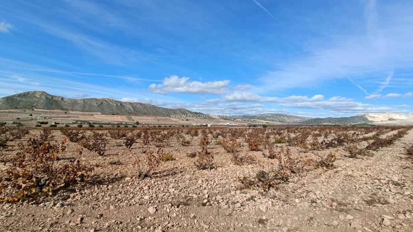 Nueva construcción  - Villa - Cañada de la Leña