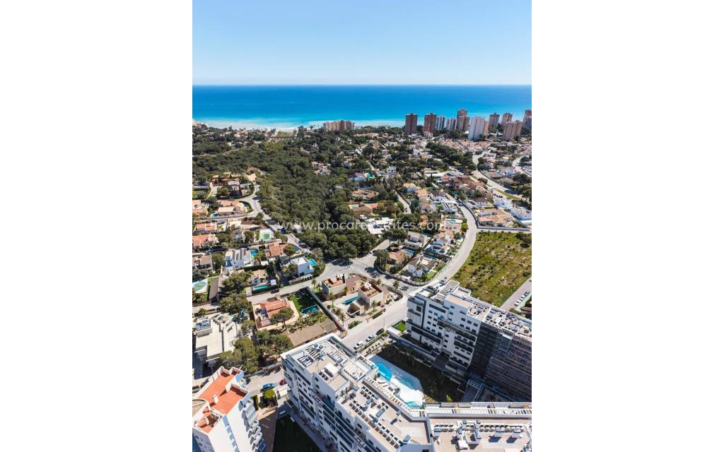 Nueva construcción  - Villa - Orihuela Costa - Campoamor